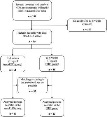 Fetal Inflammatory Response Syndrome and Cerebral Oxygenation During Immediate Postnatal Transition in Preterm Neonates